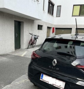 Freiparkplatz, Hans Riehlgasse – Fixparkplatz, statt grünen Zonenplatz